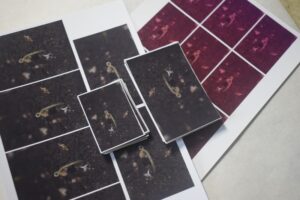 攝影 打印照片（1寸/2寸）證件照打印1版高光相纸 慢的你